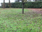 Vente terrain