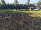 Vente terrain