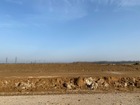 Vente terrain