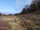 Vente terrain