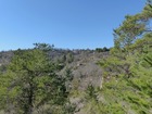 Vente terrain