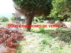 Vente terrain
