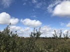 Vente terrain 325 m²