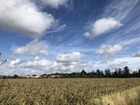 Vente terrain 500 m²