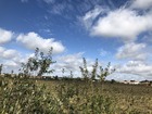 Vente terrain 500 m²