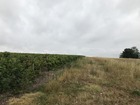 Vente terrain