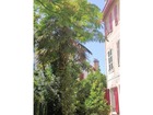 Vente appartement T2 35 m²