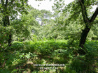 Vente terrain