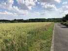 Vente terrain