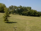 Vente terrain