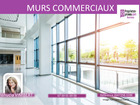 Vente professionnel 367 m²
