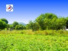 À vendre terrain 1500 m²