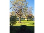 Vente autre 5 pièces 77 m²