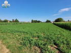 Vente terrain