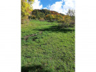 Vente terrain
