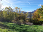 Vente terrain