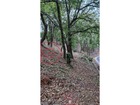 Vente terrain