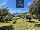 Vente terrain