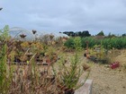Vente terrain 