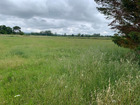 Vente terrain