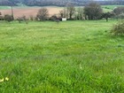 À vendre terrain