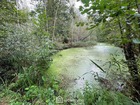 À vendre terrain 6319 m²