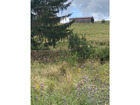 À vendre terrain