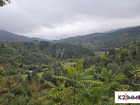 Vente terrain