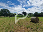 À vendre terrain 3800 m²