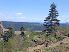 Vente terrain 9000 m²