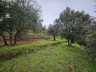 Vente terrain 2151 m²