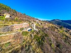 Vente propriete 14 pièces 296.3 m²