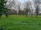 Vente terrain 