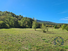 Vente terrain