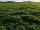 À vendre terrain 800 m²