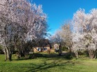 Vente maison F6 200 m²