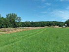 Vente terrain