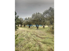 Vente terrain 324 m²