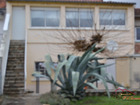 Vente maison F3 115 m²