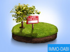 Vente terrain 