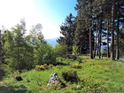 Vente terrain 621 m²