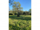 Vente terrain
