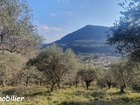 Vente terrain