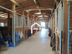 Vente autre 6 pièces 149 m²