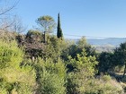 Vente terrain