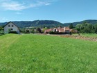 Vente terrain