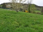 Vente terrain