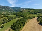 Vente terrain