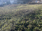 À vendre terrain 795 m²