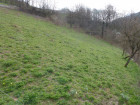 Vente terrain